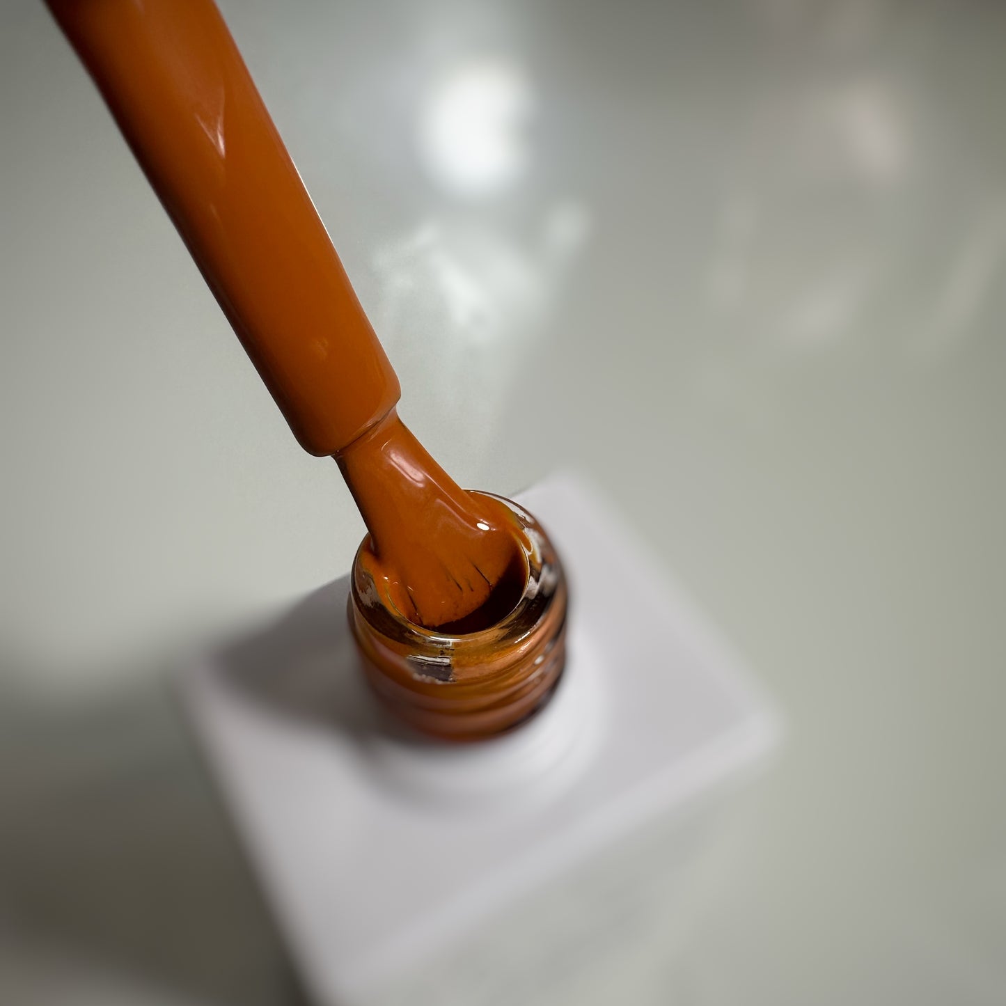 Apricot