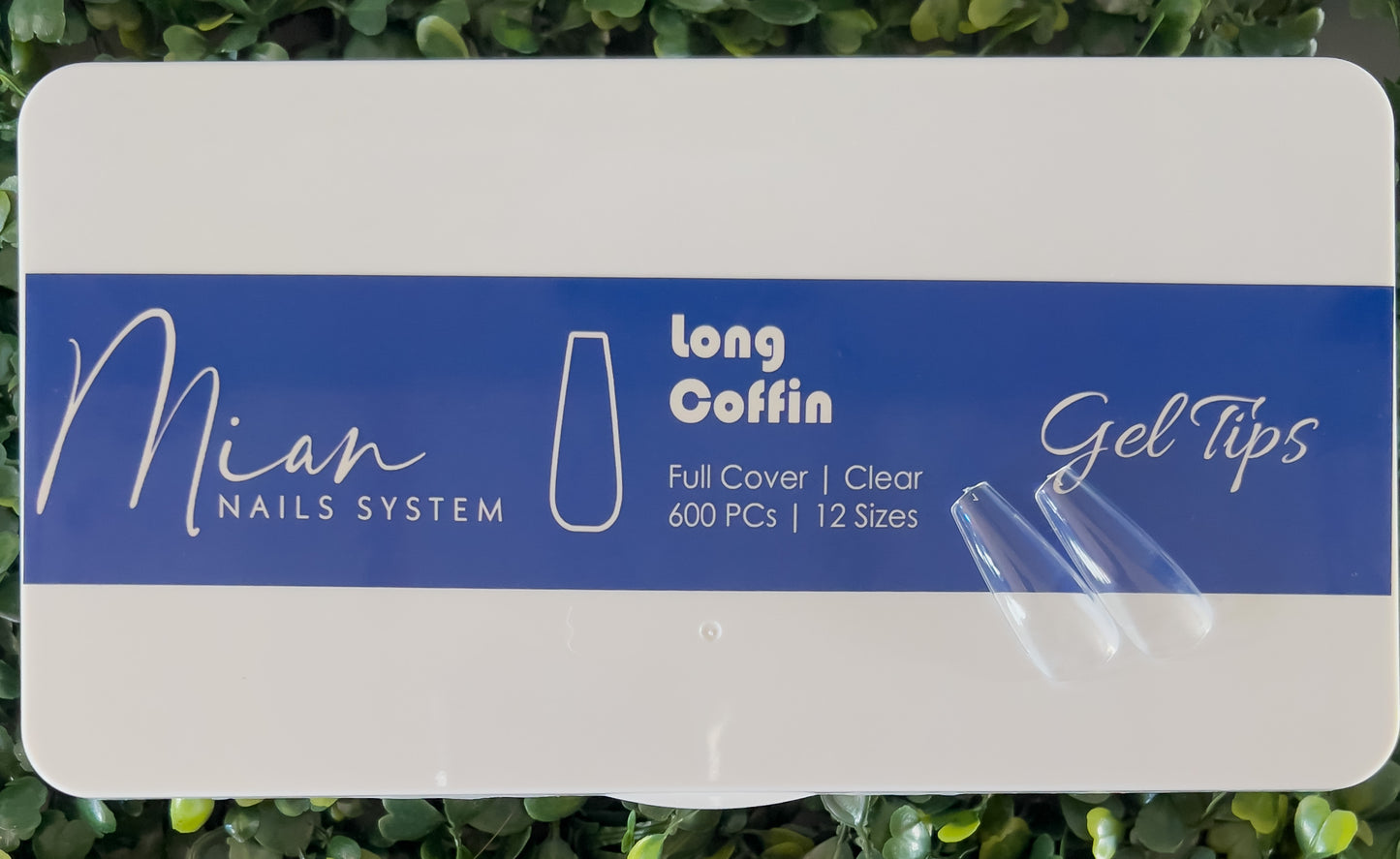 Long Coffin